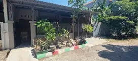 Rumah Siap Huni Lokasi Perumahan Mutiara Citra Graha Candi Sidoarjo