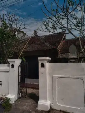 Rumah Luas 1 Are di Trenggana Penatih