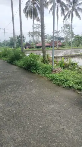 Tanah murah dekat kopi klotok