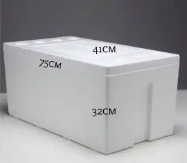 styrofoam box frozen