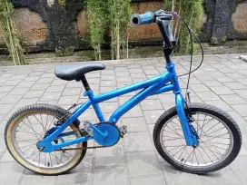 Sepeda anak WIMCYCLE R 18