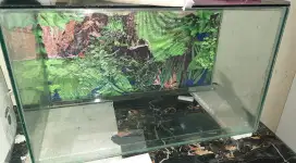 Aquarium untuk ikan dari kaca dan filter