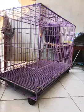 Kandang kucing OCTAGON besar