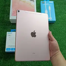 iPad Pro 10.5inch 2017 wiFi Cellular 256Gb Rose Gold ex inter