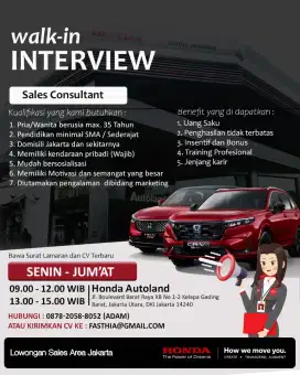 Lowongan Sales Consultant