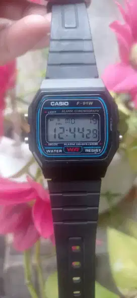 Jam Casio  F-91W