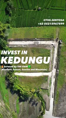 invest in KEDUNGU BALI