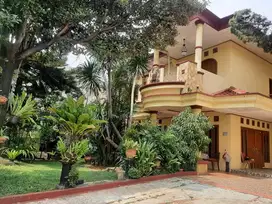 Bisa Nego : Rumah Sejuk dan Asri, Berkonsep Tropical Garden.