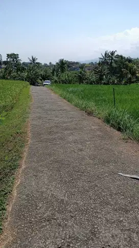 tanah di tegal mengkeb selemadeg Tabanan,dkt pantai Kelecung dan Pasut