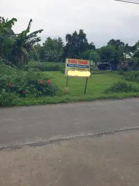 Di jual Tanah dijalan poros kec kalitidu arah kec malo kab bojonegoro