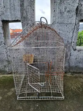 Kandang Burung Kawat Bekas