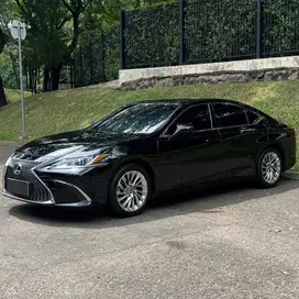 Lexus ES250 Ultra Luxury Sedan 2020