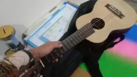 Gitarlele yamaha custom + pickup