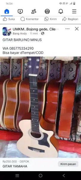 GITAR AKUSTIK Senar ceper