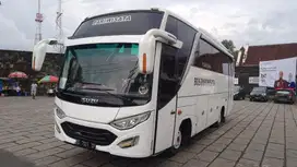 Jual Bus pariwisata NQR 71 kondisi mulus