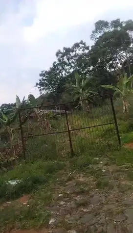 DIJUAL TANAH DI SUKARAJA GUNUNG GEULIS BOGOR JAWA BARAT