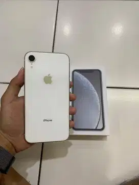 iphone xr 64 resmi ibox