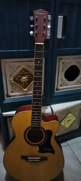 Gitar Akustik Scorpion