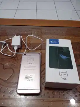 Vivo Y 66 warna rosegold