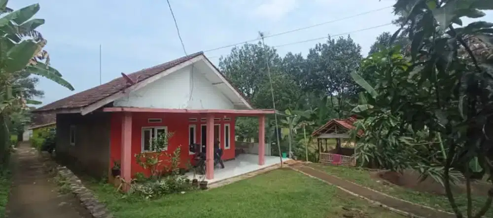 Rumah Pribadi, Halaman Luas, bisa berkebun disekitar rumah