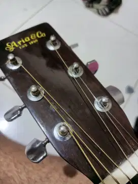 gitar akustik madein jepang