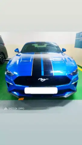 Mustang ecoboost 2019 antik rawatan pribadi