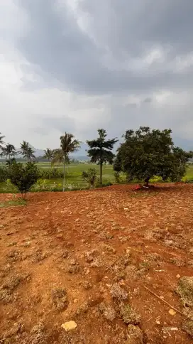 DIJUAL TANAH KAVLING MURAH DENGAN VIEW SAWAH DAN PEGUNUNGAN