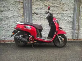 Honda Scoopy esp