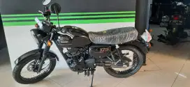 Kawasaki w175 black SE