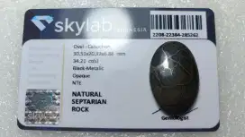 Natural Septarian Rock 34.21 Ct Antik Memo Skylab