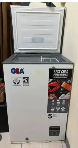 Freezer GEA 100lt