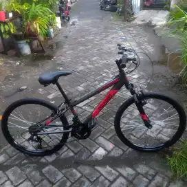 MTB Polygon Recoil 24 restorasi baru, seperti baru keluar toko