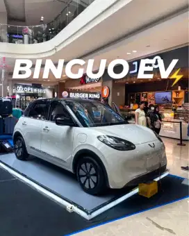 Binguo EV - Premium range