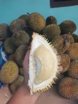 durian kupas dan bijian