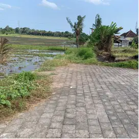 Tanah Kavling Di Tabanan Desa Nyitdah Dekat Kedungu