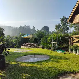 tanah kebun lemon 3000m ada vila bonus 2000m kebun kopi