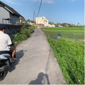 Tanah Disewakan di Pantai Kedungu 3 menit ke Pantai