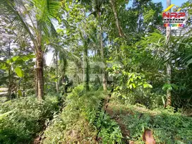 Dijual Tanah Dengan View Cantik Murah di Desa Licin, Banyuwangi