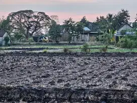 Tanah sawah dekat jalan raya balong panggang