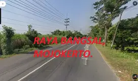 dIJual tanah sawah nol jalan raya bangsal mojokerto jawa timur