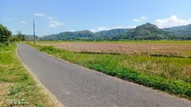 tanah murah,view sawah.bonus rumah siap huni