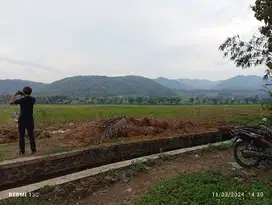 dijual tanah murah, view sawah dekat geblek pari, nanggulan