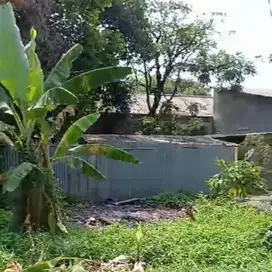 Jual Cepat Tanah Kebun Di Pondok Serut Nempel Graha Raya Bintaro