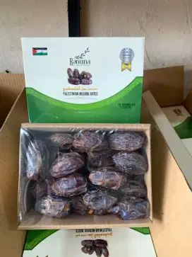 Aneka kurma arab