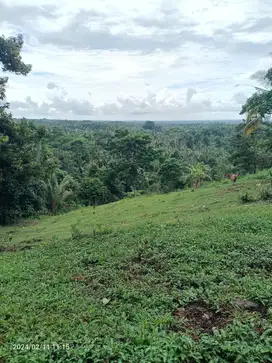 Tanah view gunung dan lembah dekat villa di Tabanan Bali