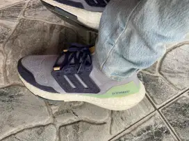 Adidas ultraboss 2.2