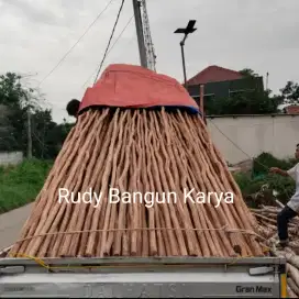 Kayu dolken gelam/kayu cerucuk