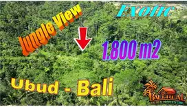 1,800 m2 with Jungle View by the River in Ubud Tegalalang