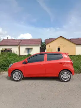 Ayla agya merah