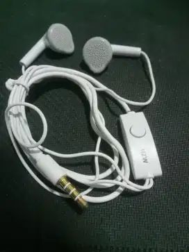 Headset/Earphone